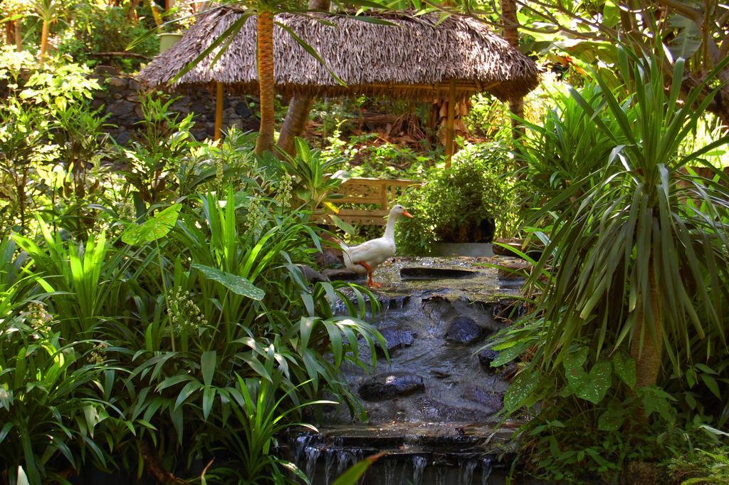Indo Rumah Zengarden Pabean Buleleng Eksteriør bilde