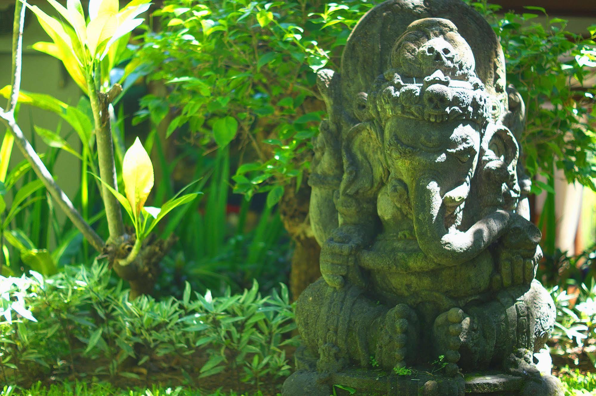 Indo Rumah Zengarden Pabean Buleleng Eksteriør bilde